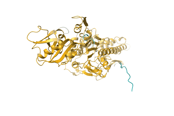 AF-A0A2D3U5F0-F1 image