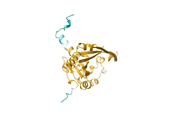 AF-A0A2D3U5F5-F1 image