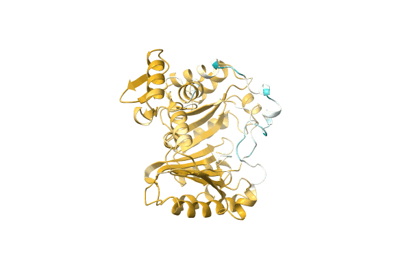 AF-A0A2D3WKQ5-F1 image