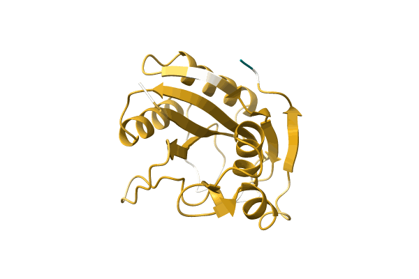 AF-A0A2D5FLR3-F1 image