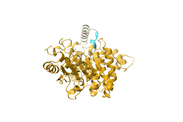 AF-A0A2D5FLS1-F1 image