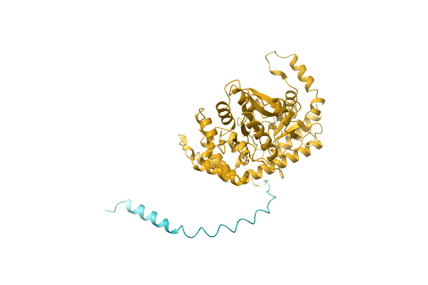 AF-A0A2D5FLU9-F1 image