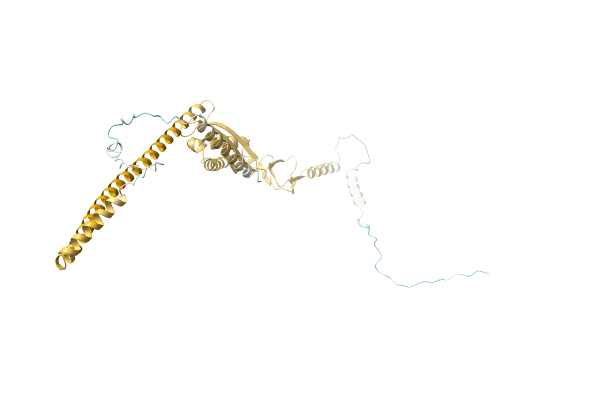 AF-A0A2D5FM02-F1 image
