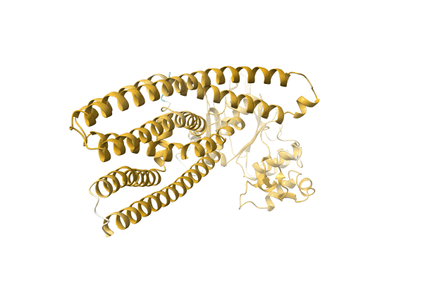 AF-A0A2D5HQR0-F1 image