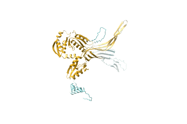 AF-A0A2D5JGU2-F1 image