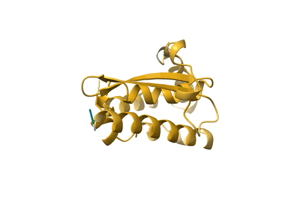 AF-A0A2D5JJ13-F1 image