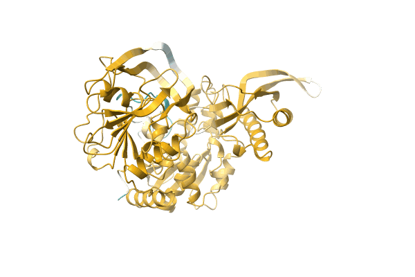 AF-A0A2D5JM60-F1 image