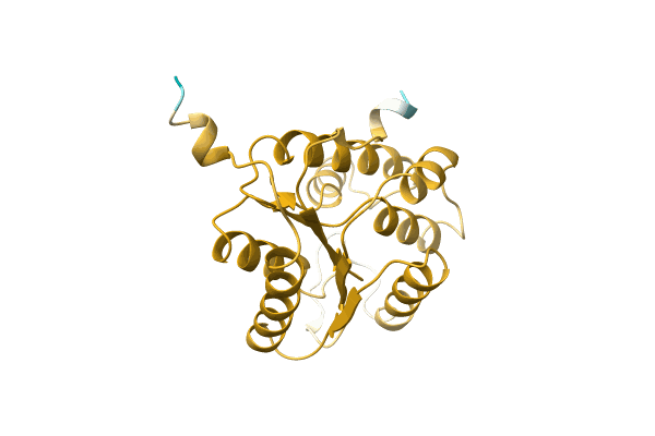 AF-A0A2D5JM71-F1 image