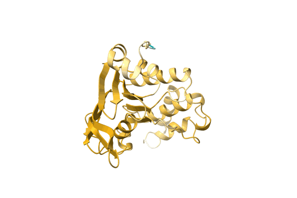 AF-A0A2D5JMI9-F1 image