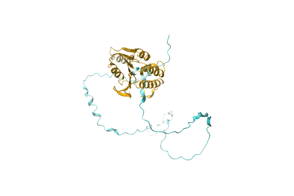 AF-A0A2D6BK42-F1 image