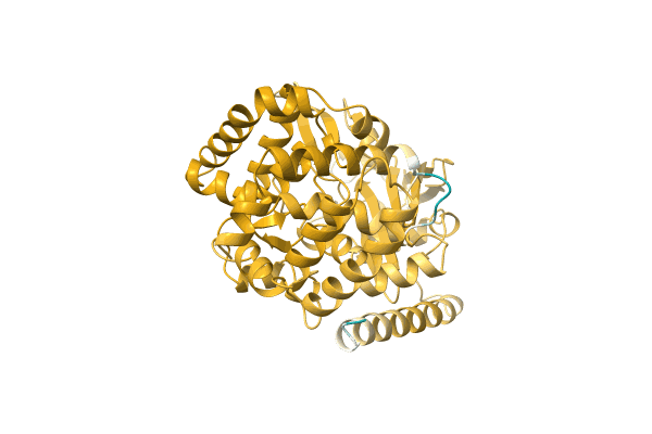 AF-A0A2D6BK51-F1 image