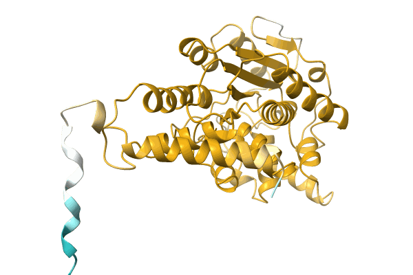 AF-A0A2D6BK55-F1 image