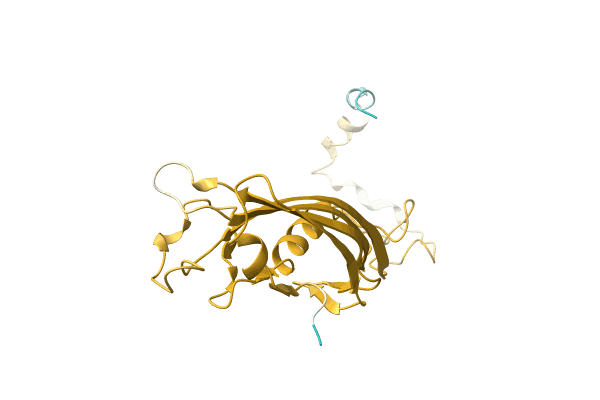 AF-A0A2D6N8X7-F1 image