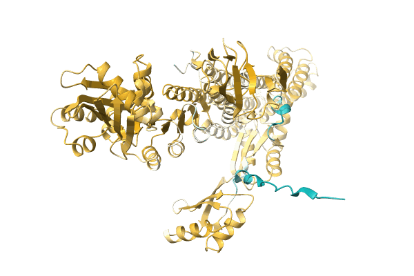 AF-A0A2D6N8X8-F1 image