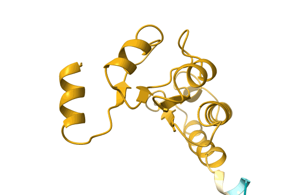 AF-A0A2D6N9B9-F1 image