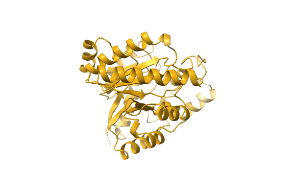 AF-A0A2D6N9C1-F1 image