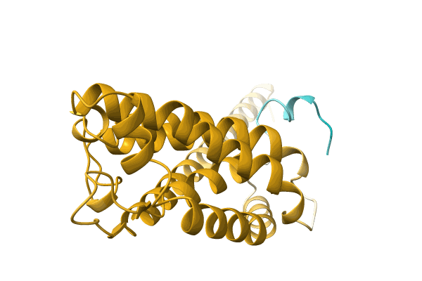 AF-A0A2D6N9E6-F1 image