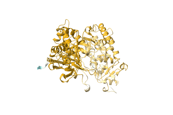 AF-A0A2D6PV18-F1 image