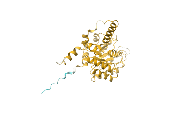 AF-A0A2D7PIM9-F1 image