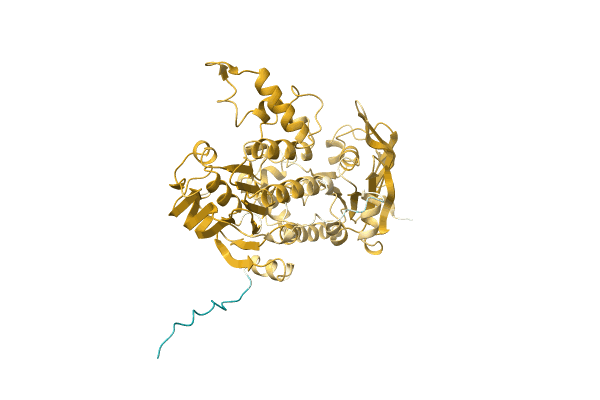 AF-A0A2D7RX05-F1 image