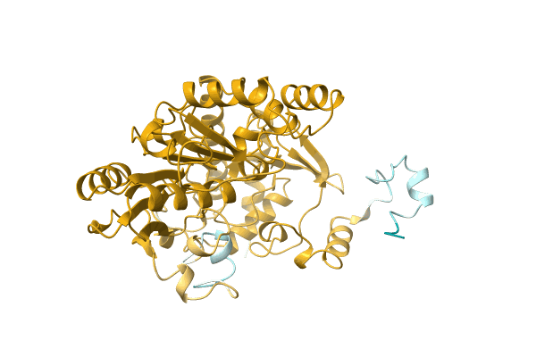 AF-A0A2D8V1R4-F1 image
