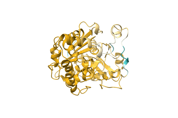 AF-A0A2D8XAE2-F1 image