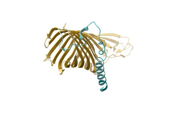 AF-A0A2D8YIQ4-F1 image