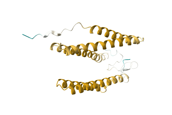 AF-A0A2D9L9J6-F1 image