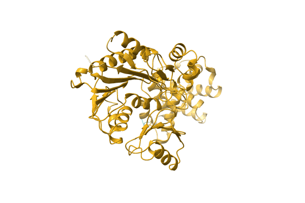 AF-A0A2D9L9K6-F1 image