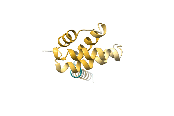 AF-A0A2D9L9L4-F1 image