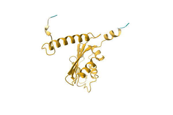 AF-A0A2D9L9M7-F1 image