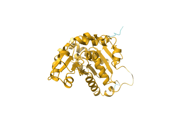 AF-A0A2D9L9R1-F1 image