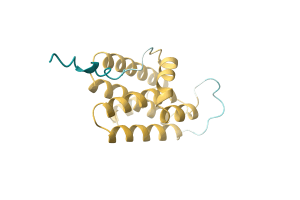 AF-A0A2D9L9S2-F1 image