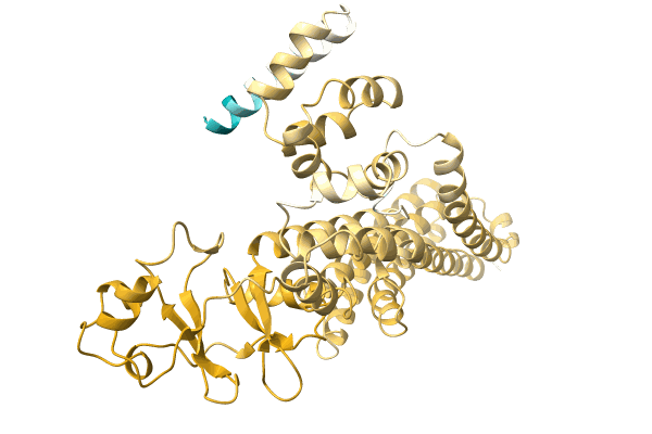 AF-A0A2D9L9T4-F1 image