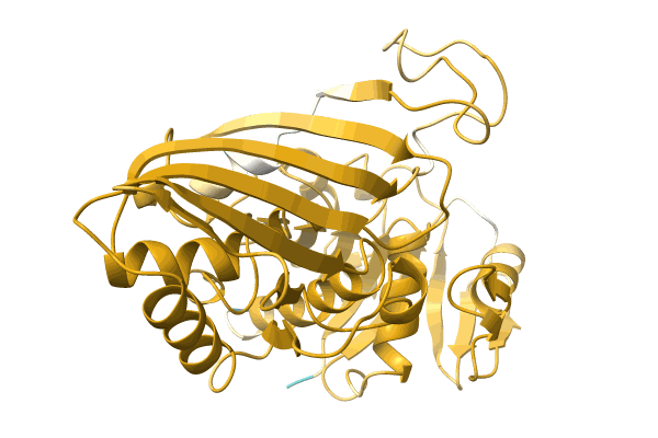 AF-A0A2D9LLT4-F1 image