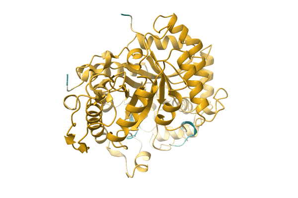 AF-A0A2D9LME0-F1 image