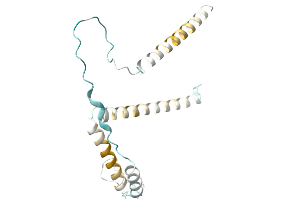 AF-A0A2D9LMH3-F1 image