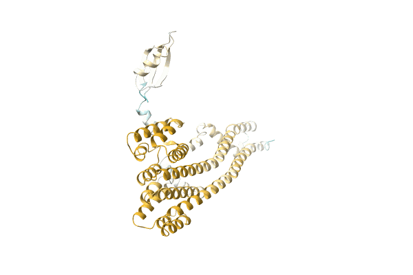 AF-A0A2E5FIA6-F1 image