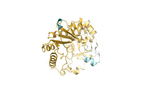 AF-A0A2E5I2K6-F1 image