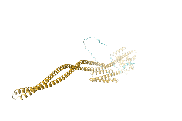 AF-A0A2E6Y6U8-F1 image