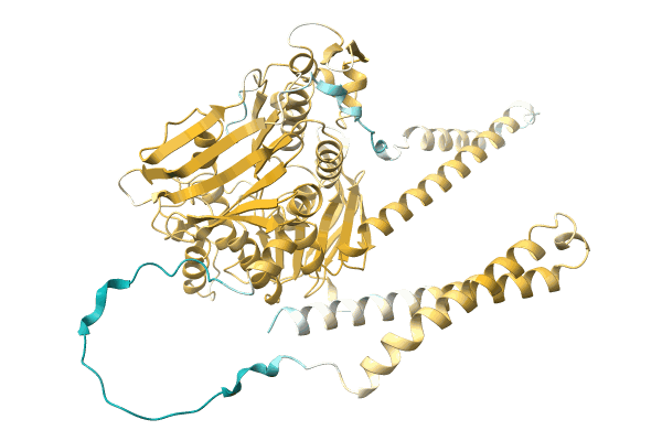 AF-A0A2E6Y6V6-F1 image