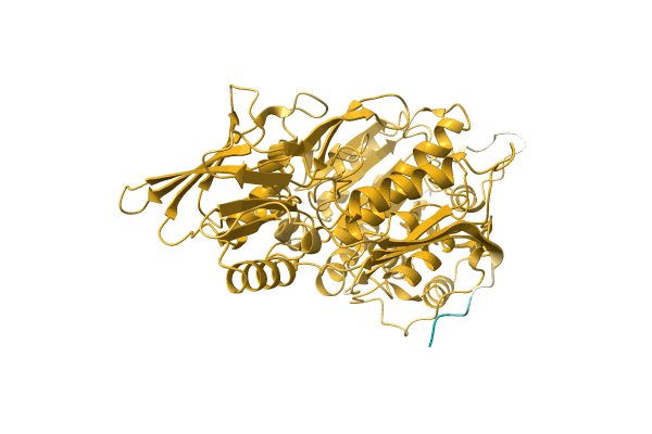 AF-A0A2E6Y6X6-F1 image