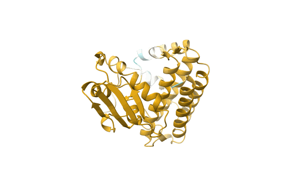 AF-A0A2E9LDA5-F1 image