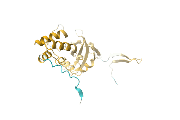 AF-A0A2G3L6Q1-F1 image