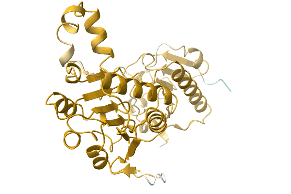 AF-A0A2G9F9J5-F1 image