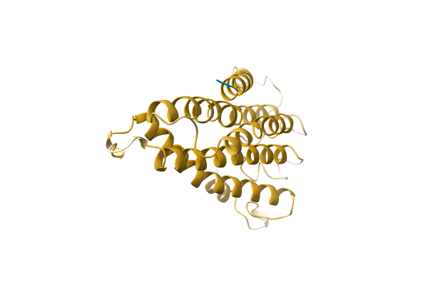 AF-A0A2H4FXV5-F1 image