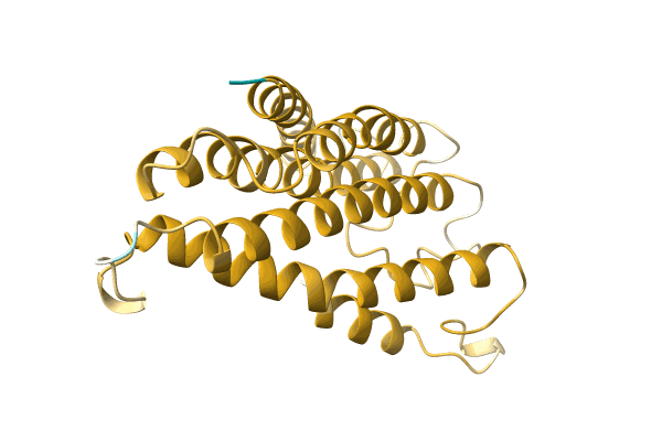 AF-A0A2H4HTP6-F1 image