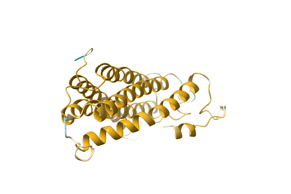 AF-A0A2H4N208-F1 image