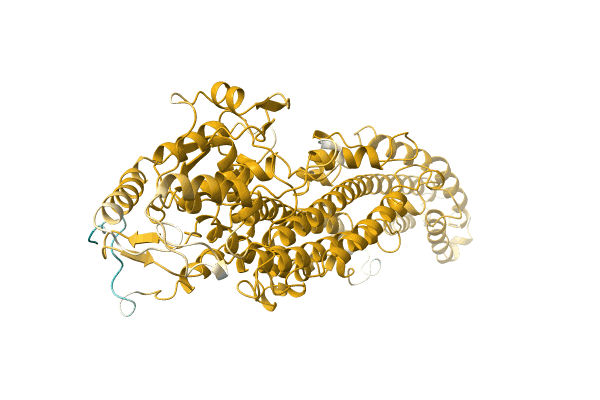 AF-A0A2H5AIY6-F1 image