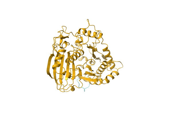 AF-A0A2H5AIZ1-F1 image